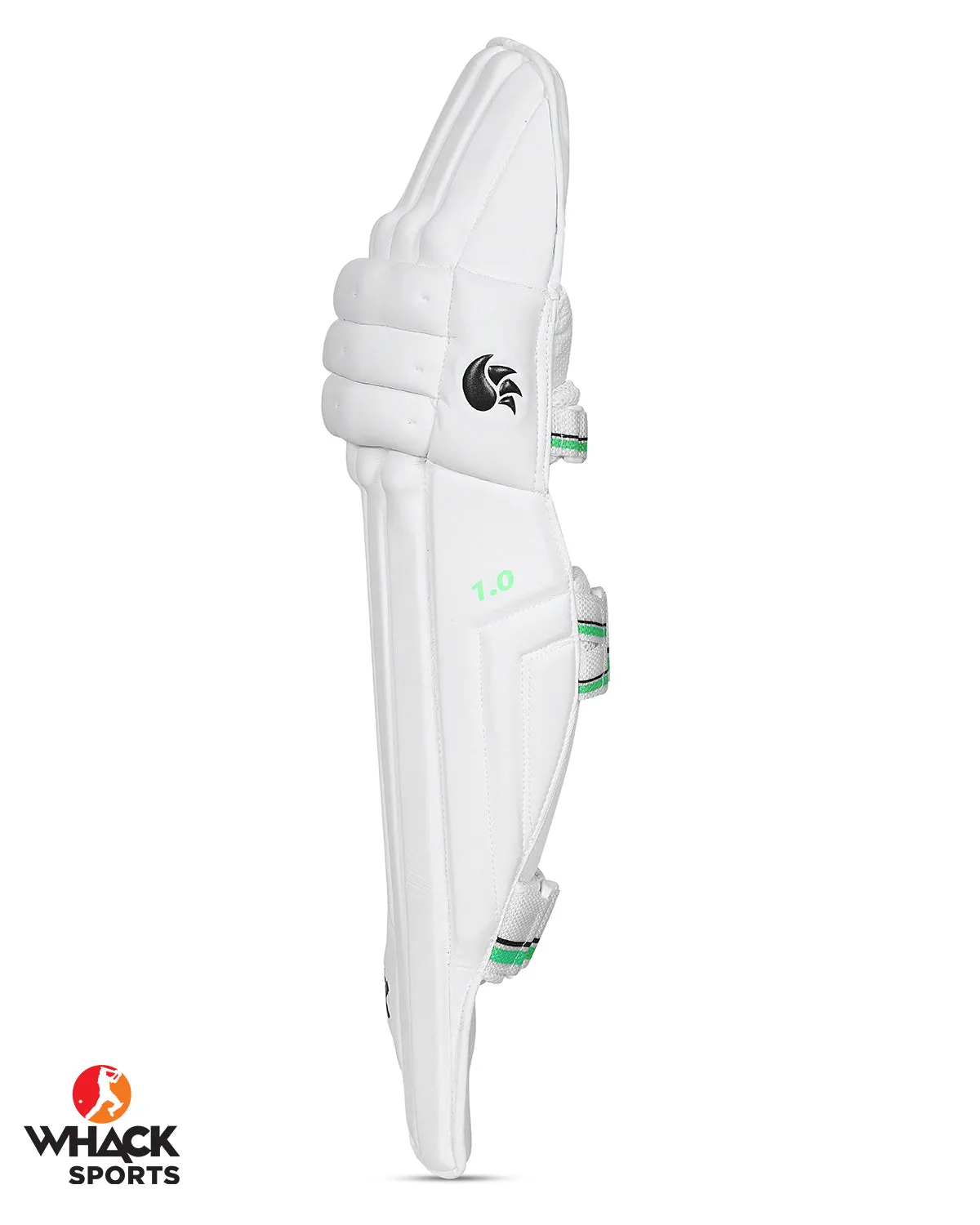 DSC 1.0 Cricket Batting Pads - Youth (2023/24)