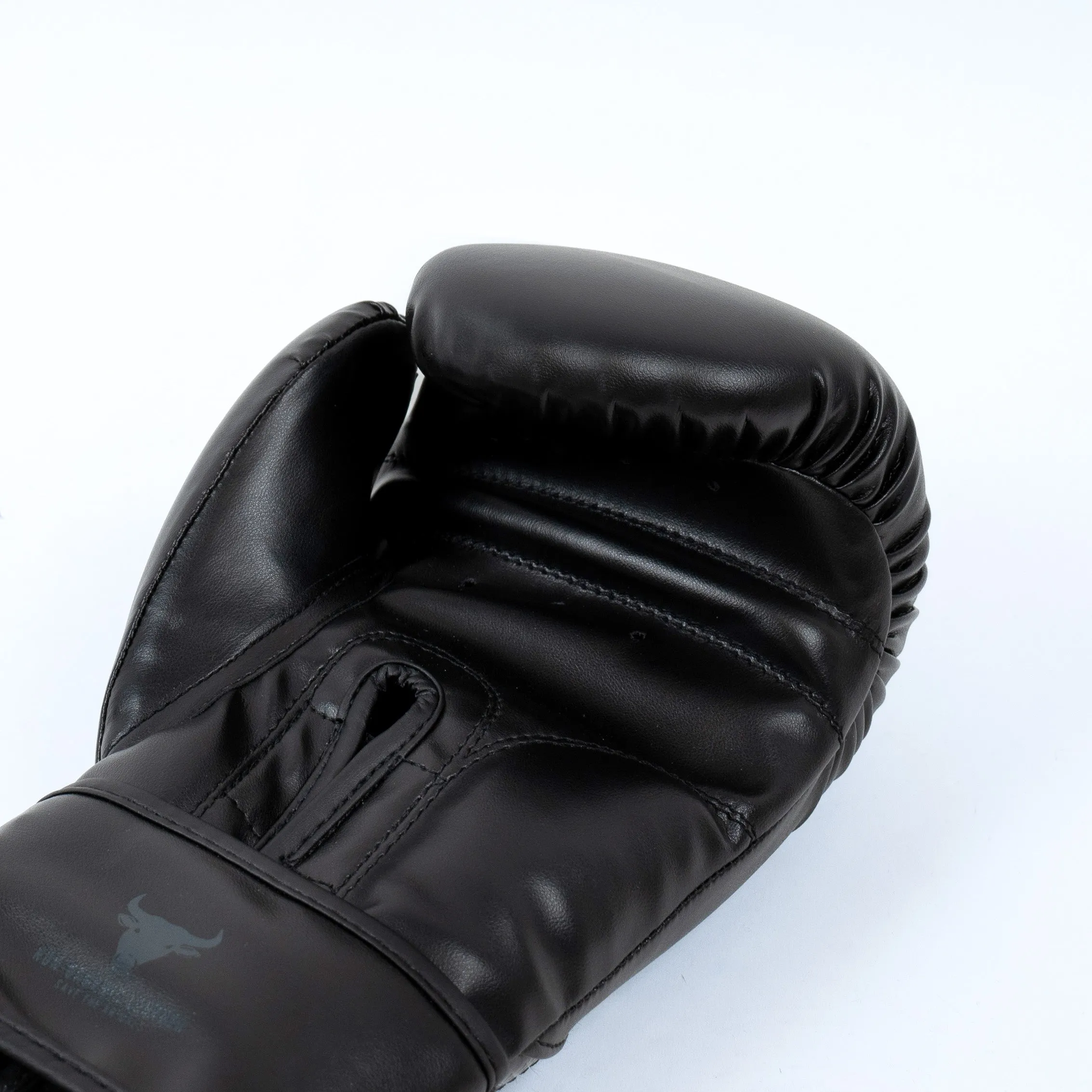 Knockout Starter Boxing Gloves