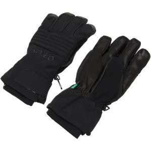 Oakley B1B Glove 2024