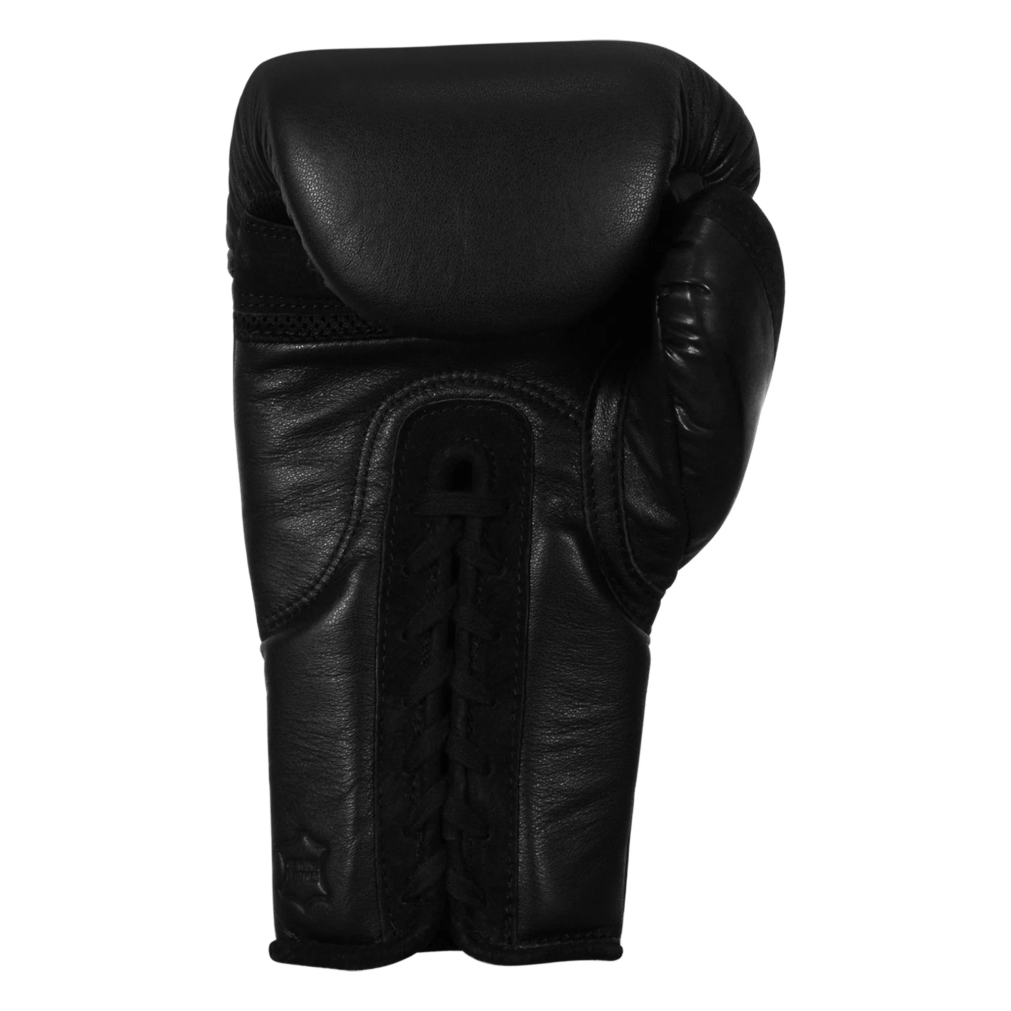 TITLE Black Lace Sparring Gloves 2.0